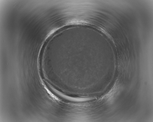 X0000057071037200509161513