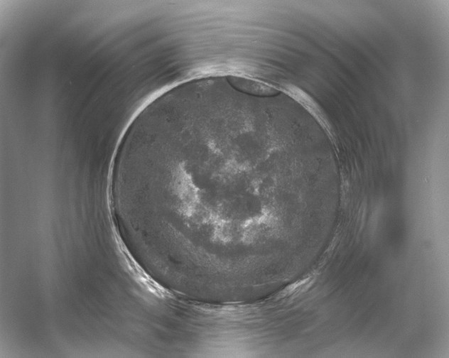 X0000057071052200509161513