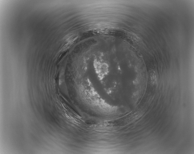 X0000057071060200509161512