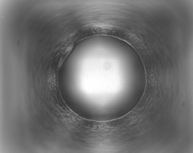 X0000057071061200509161512