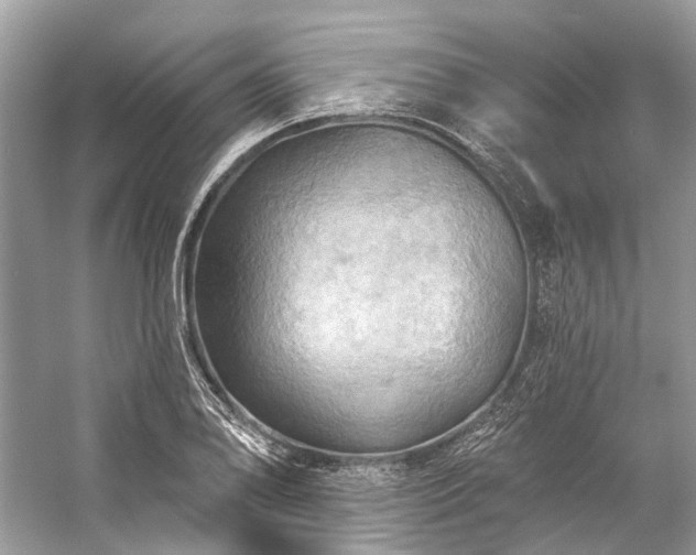 X0000057071078200509161512