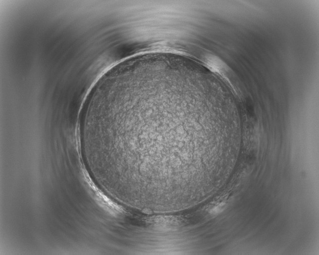 X0000057071092200509161511