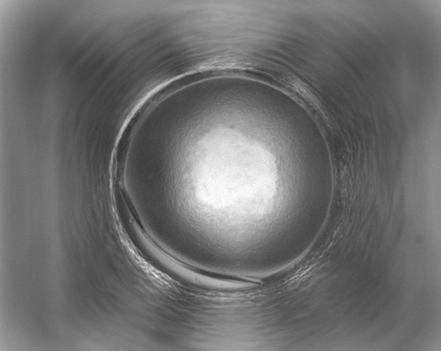 X0000057071124200509161511