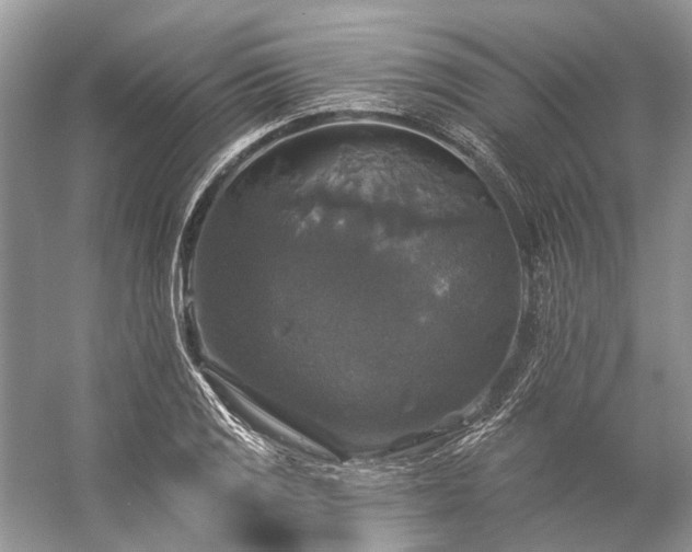 X0000057071125200509161511