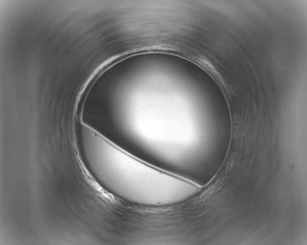 X0000057071140200509161511