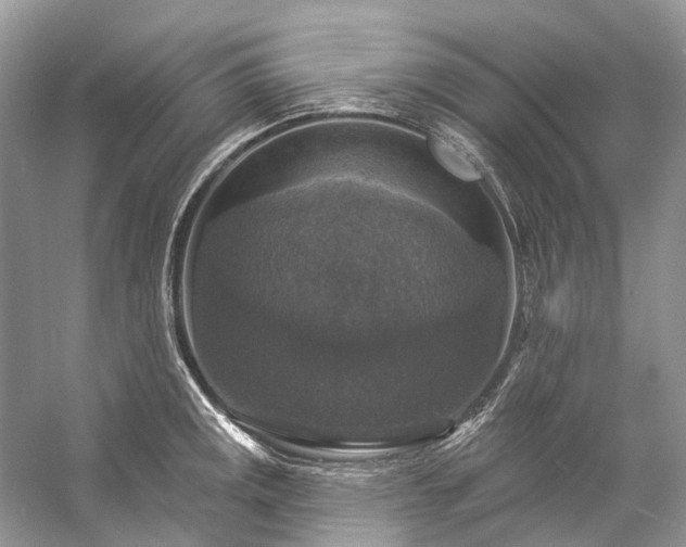 X0000057071141200509161511