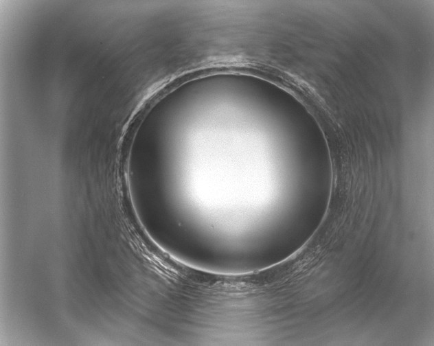 X0000057071168200509161510