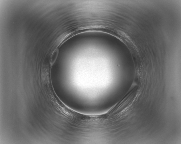 X0000057071177200509161510