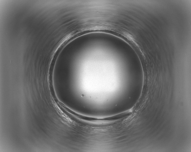 X0000057071181200509161510