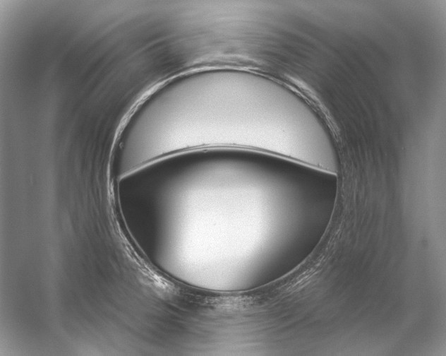 X0000057071188200509161510