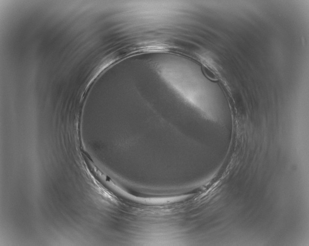 X0000057071194200509161510