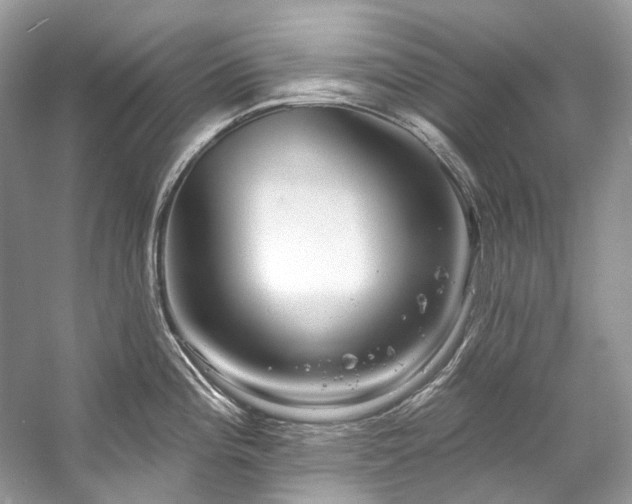 X0000057071196200509161510