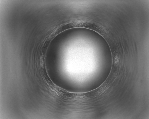 X0000057071204200509161509