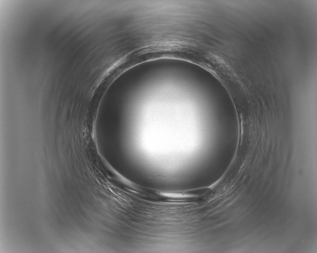 X0000057071210200509161509