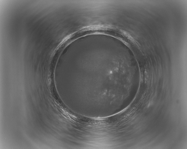 X0000057071213200509161509