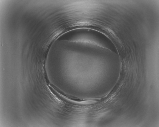 X0000057071225200509161509