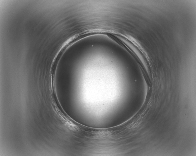 X0000057071238200509161509