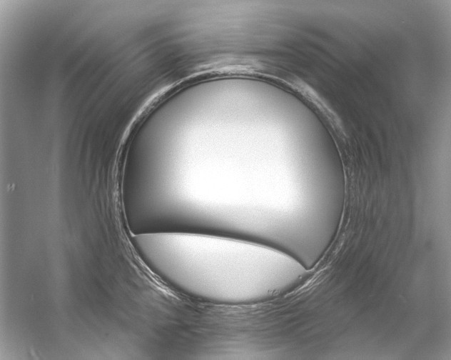 X0000057071240200509161509