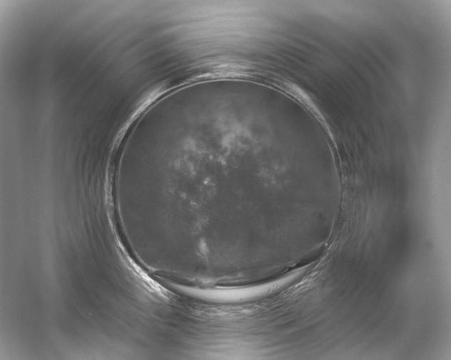X0000057071243200509161509