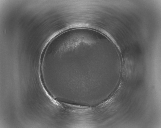 X0000057071245200509161510