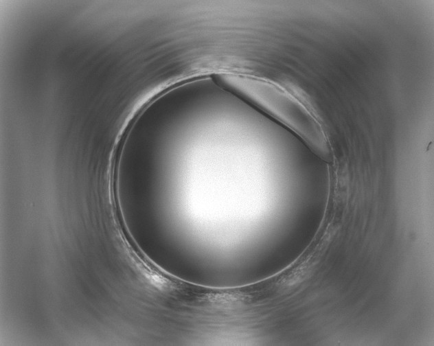 X0000057071246200509161510