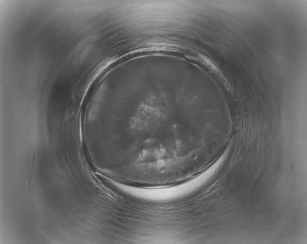 X0000057071275200509161508
