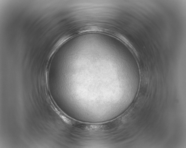 X0000057071290200509161508