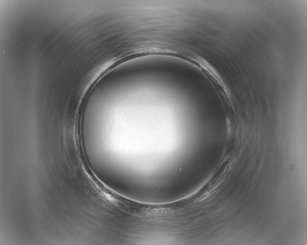 X0000057071293200509161508
