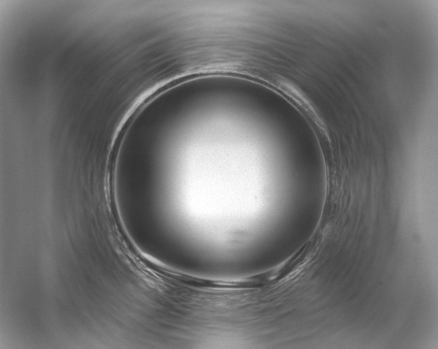 X0000057071340200509161508