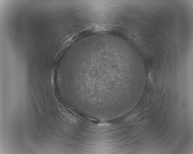 X0000057071348200509161507