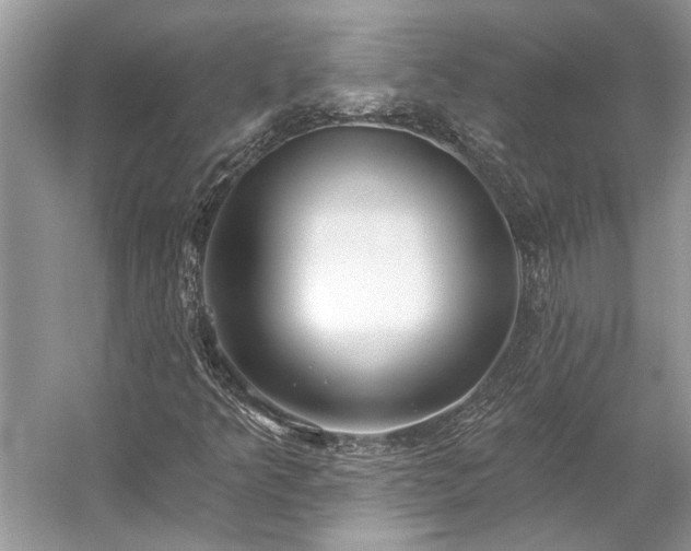 X0000057071349200509161507
