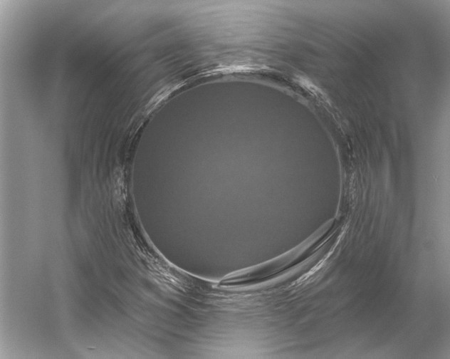 X0000057071353200509161507