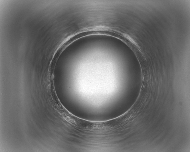 X0000057071364200509161507