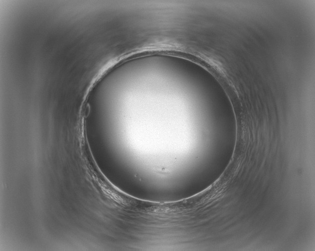 X0000057071366200509161507