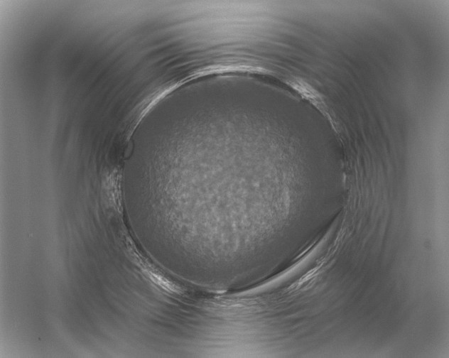 X0000057071369200509161507