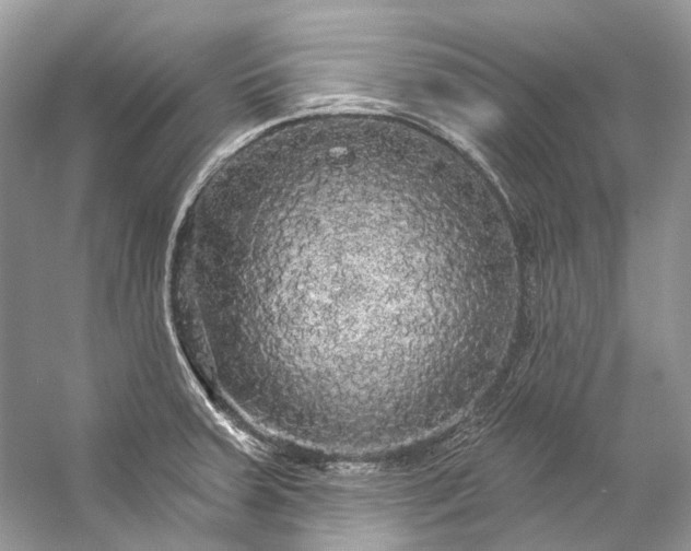X0000057071379200509161507