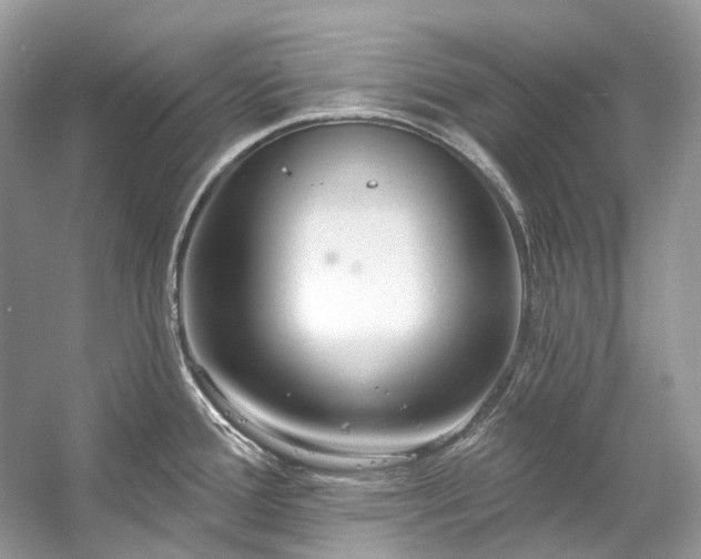 X0000057071388200509161506