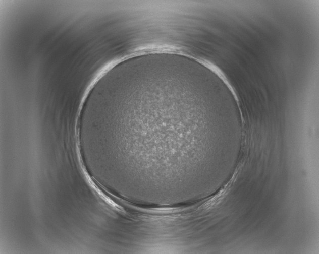 X0000057071389200509161506