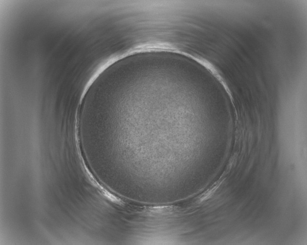 X0000057071390200509161506