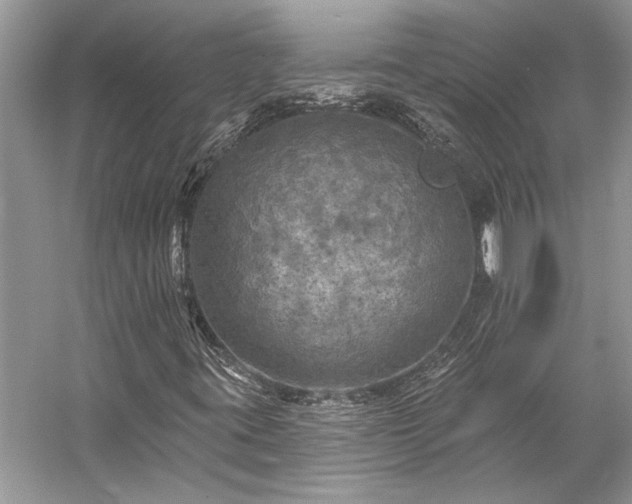 X0000057071395200509161506