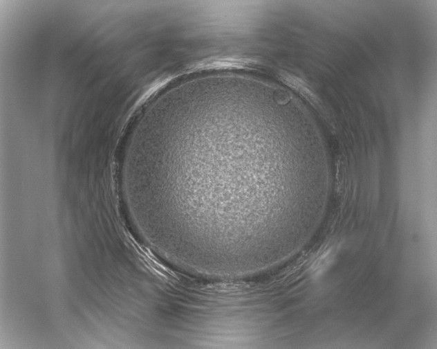 X0000057071404200509161506