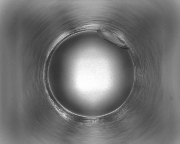 X0000057071426200509161506