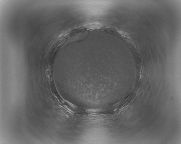 X0000057071445200509161505