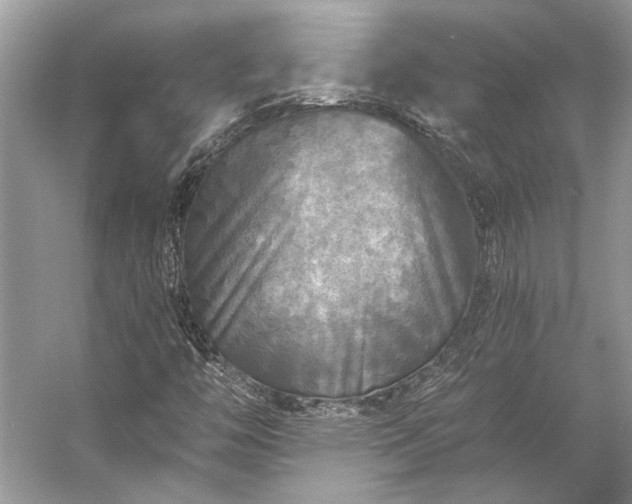 X0000057071446200509161505