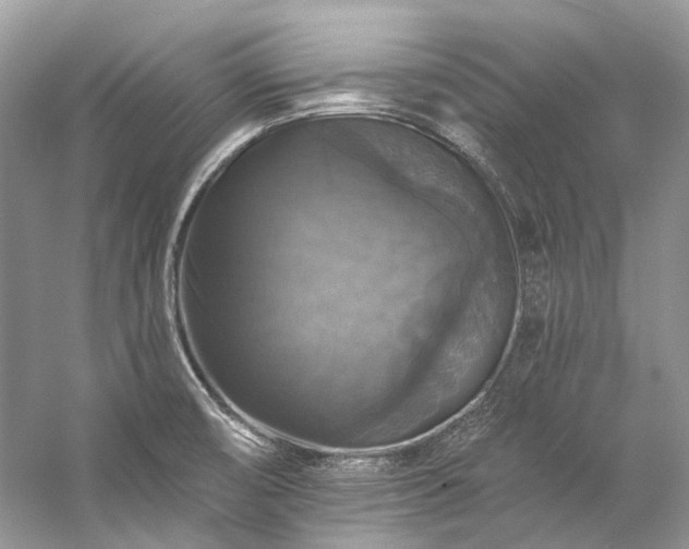 X0000057071474200509161505
