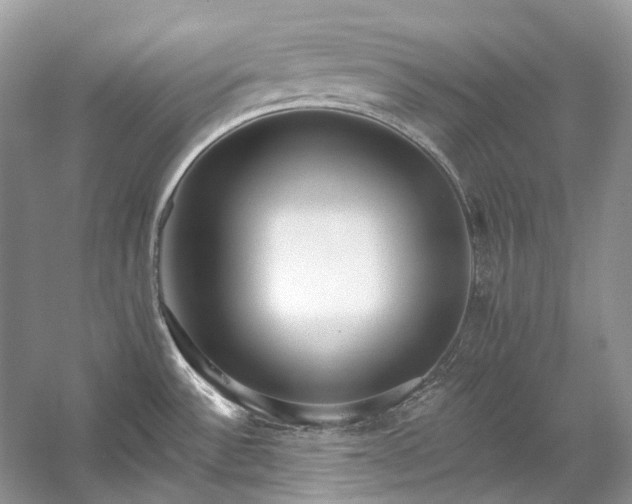 X0000057071532200509161505