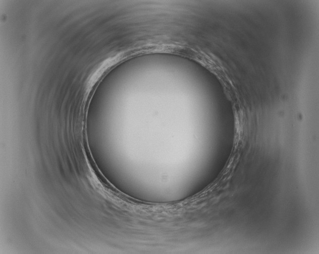 X0000057070003200509231610