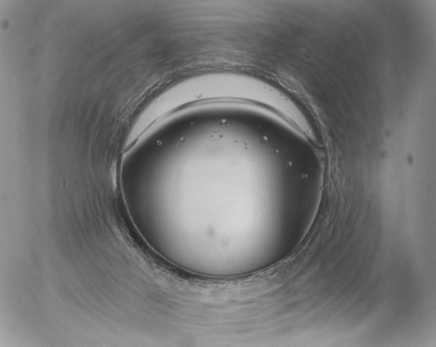 X0000057070021200509231610