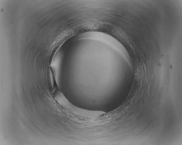X0000057070023200509231609