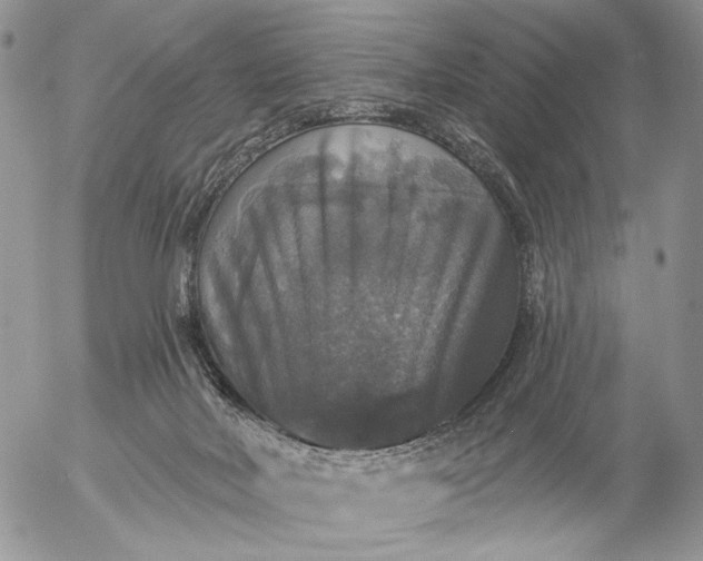 X0000057070026200509231609